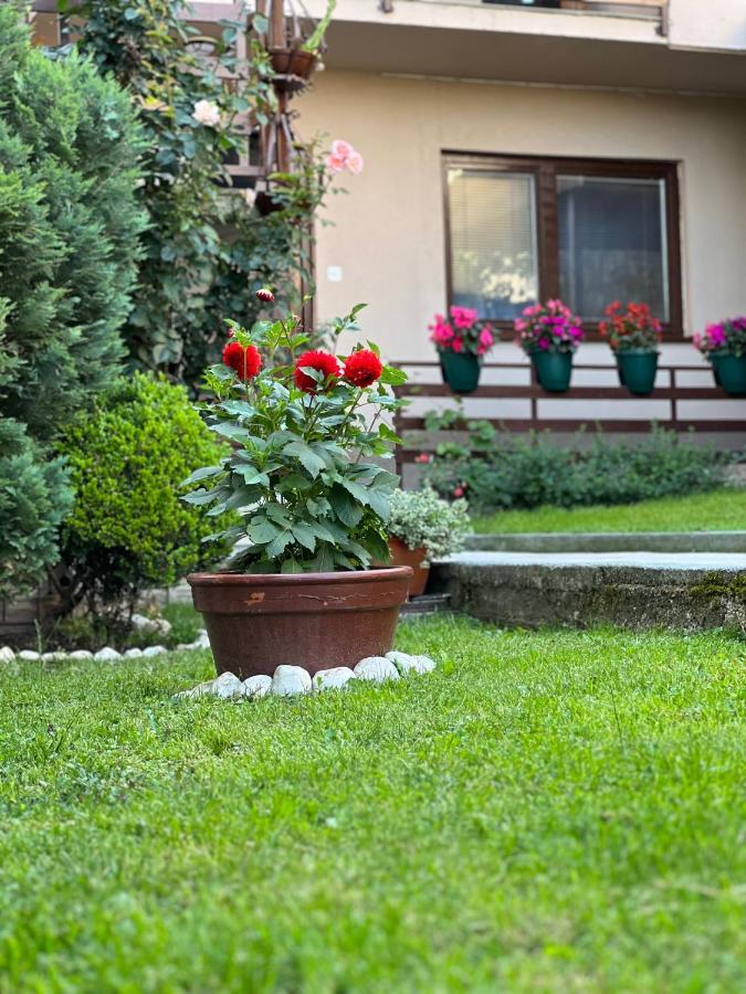 City Centar Apartman Sarajevo Exterior photo
